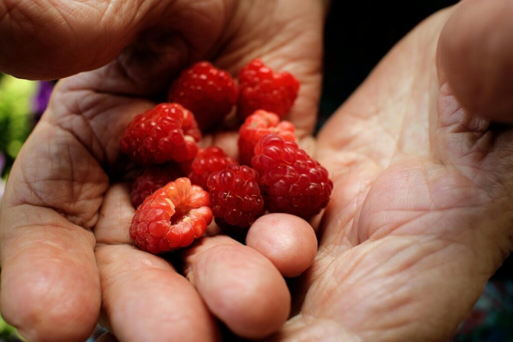 Adult fingers squishing a soft piece of fruit to demonstrate the squish test for safe baby led weaning summer snacks