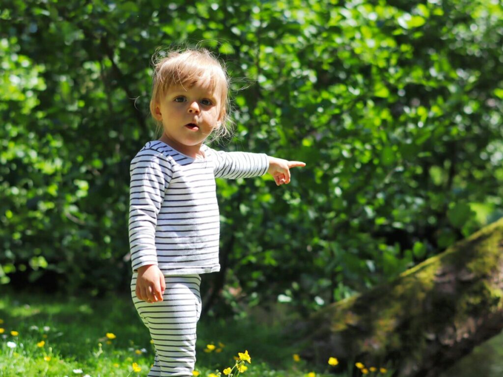 Toddler behavior and communication at 17 months